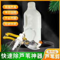 Reed cutting spray pot household watering indoor small spray kettle air pressure Reed medicine cutting Reed heart injection artifact