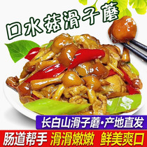 Changbai Mountain Tsui Mushroom Northeast Special Spicy Mushroom Dried Chicken Stew Mushroom Small Yellow Mushroom Lentinus Edodes 250g
