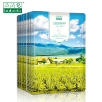 BABADO Barbara Aloe Snow Muscle Silk Mask 30g Bright Skin Improves Dull Beauty