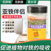 Betelco Ferrous Sulfate Mate to Prevent Oxidation Green Leaf Potted Flower Fertilizer Household