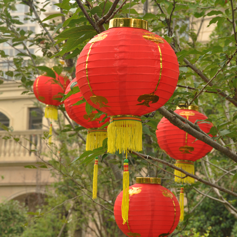 添祥缘红灯笼小灯笼节日元宵节庆喜庆婚庆装饰跳舞道具防水纸灯笼产品展示图1