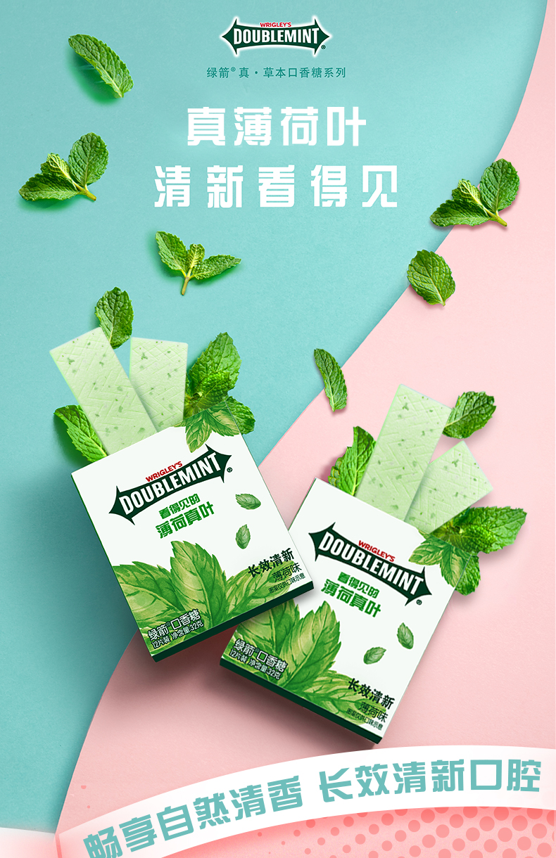绿箭口香糖真叶薄荷味12片装32g盒装旅行便携带清新口气休闲零食