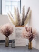 Net Red Reed Dried Flower Emulation Flower High-end Home Decoration Flower Pendulum Pieces Dinghi Residence Decoration Diy Photography Props