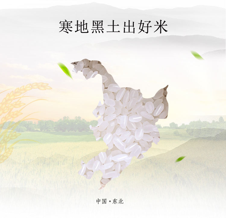 寒地黑土出好米中国·东北-推好价 | 品质生活 精选好价