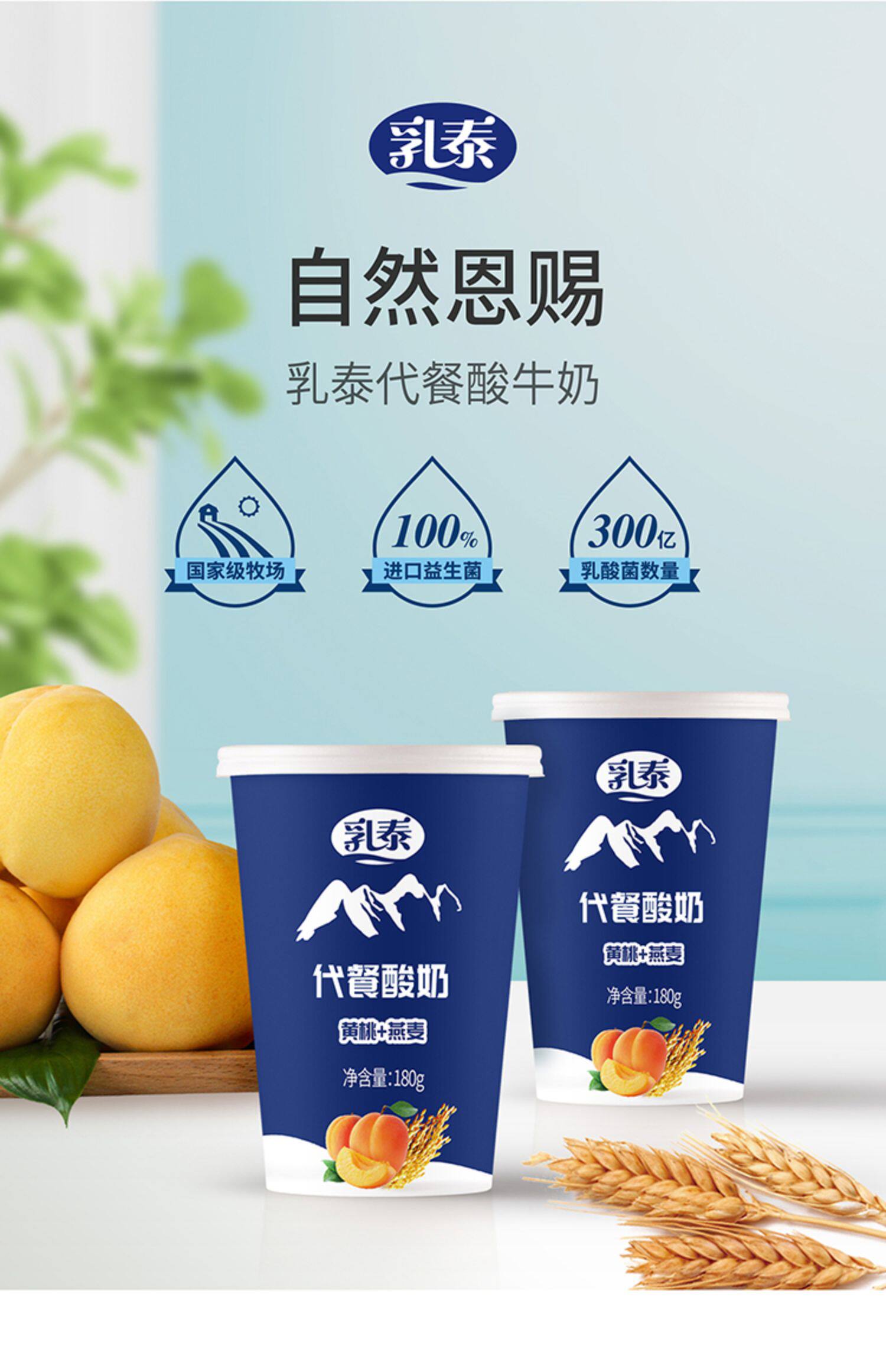 【新品上市】乳泰低温燕麦黄桃酸牛奶乳酸菌益生菌发酵早餐奶整箱_券