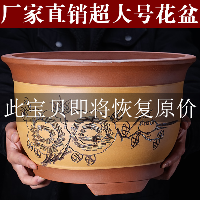 Yixing purple orchid basin clivia bluegrass bonsai ceramic pot with tray indoor miniascape special pot sitting room