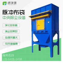 Central dust removal equipment Pulse bag filter cartridge dust collector Woodworking small bag industrial environmental protection dust collector system