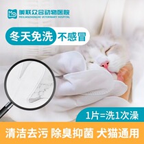 Snow minke kittens free of washing gloves Puppy deodorized and protective supplies Pets free of bath deities to be puppies dry cleaning foam