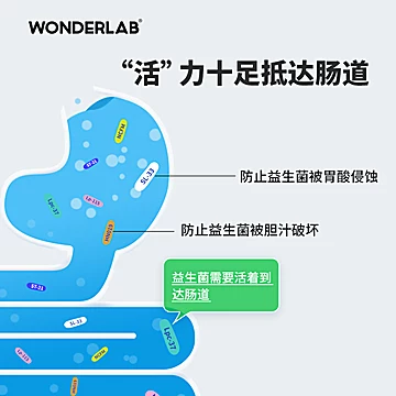 WonderLab肠胃肠道益生菌4盒装[257元优惠券]-寻折猪