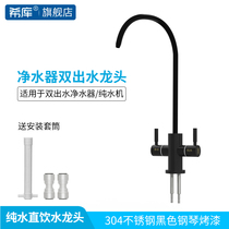 Hicku 304 stainless steel black piano paint 2 points double outlet faucet double control RO pure water machine kitchen faucet