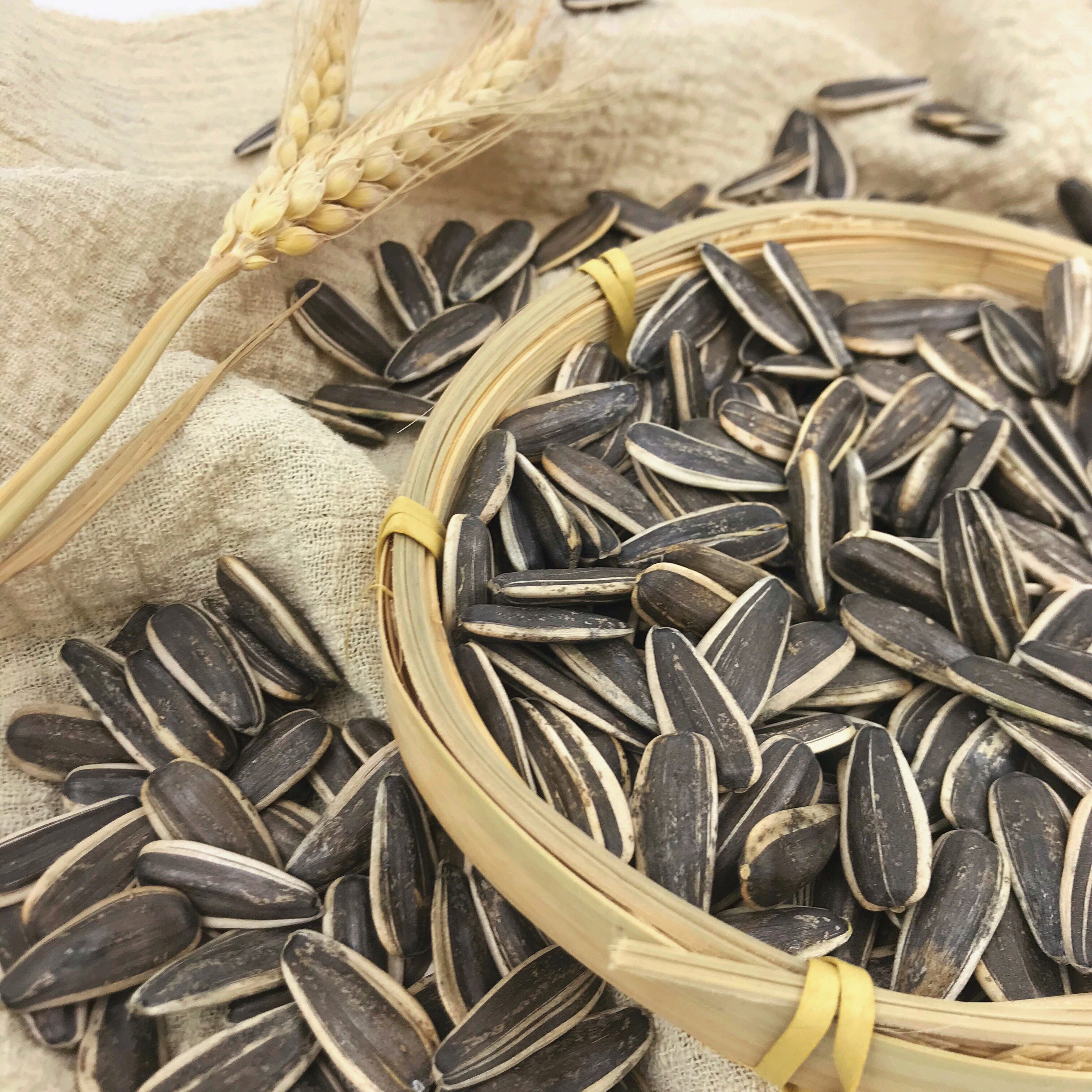 生瓜子葵花籽新货新鲜生葵花籽瓜子原味散装5斤新货葵瓜子生瓜子