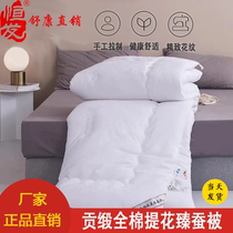 Hengfa home textile tribute satin cotton jacquard silkworm is double thickened warm quilt silk winter quilt