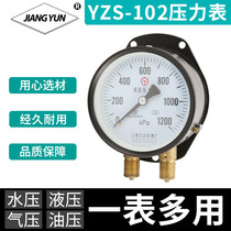 Shanghai Jiangyun YZS-102 double needle double tube pressure gauge 0-1200KPa special pressure gauge for railway locomotive