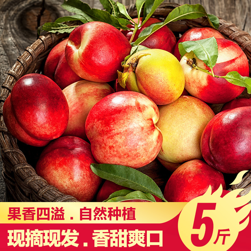 長(zhǎng)青豐 山西黃心油桃5斤