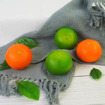 Simulation Tangerine Model Fake Foam Citrus Fruit Living-room Sample Room Decorated Fruit Tray Shooting Props Background