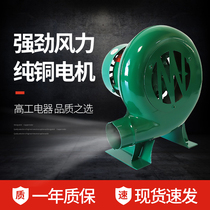 Gaogong Electric L-CZR old-fashioned iron shell drum fan Household small stove canteen combustion fan