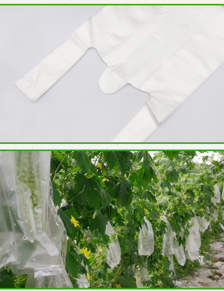 带套丝瓜袋袋子保护套专用包邮水果防虫防水苦瓜套袋丝瓜黄瓜果