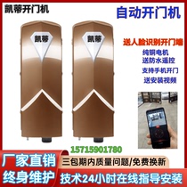 Open door open to villa factory door intelligent remote control open door motor automatic push and pull open door