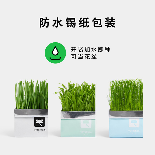 Unblocked soilless cat grass ເມັດ wheat potted cat grass seeds hydroponic planting lazy cat grass boxed fur cat snacks