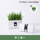Not card lazy cat grass seed potted soilless hydroponic planting set wheat grass seed catnip snack Not card lazy cat grass seed potted soilless hydroponic planting set wheat grass seed catnip snack