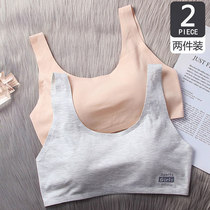 Mei Xiang Butterfly Girl Underwear Student Development Thin Vest High School Junior High School Students Adolescent Korean Bra