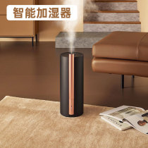 edon Aiden air humidifier aromatherapy large spray bedroom pregnant woman Baby Home indoor large capacity floor standing