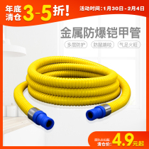 Natural gas pipe liquefied gas pipe gas cylinder stove connection pipe mouse bite metal explosion-proof hose home