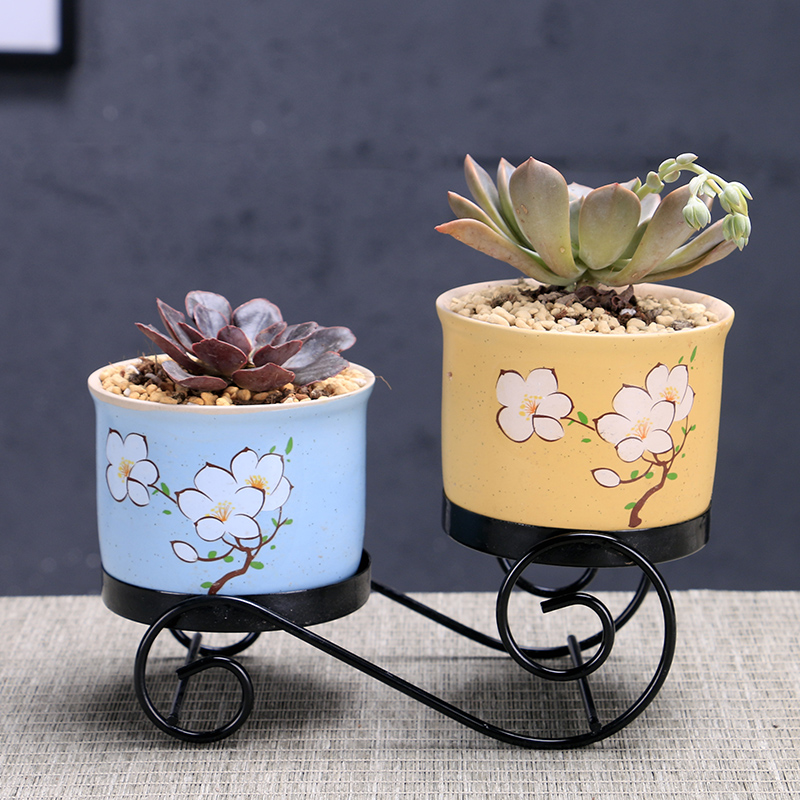 Marca dragon flowerpot ceramic large special offer a clearance package mail more than other small meat the plants flower pot, wrought iron pallets