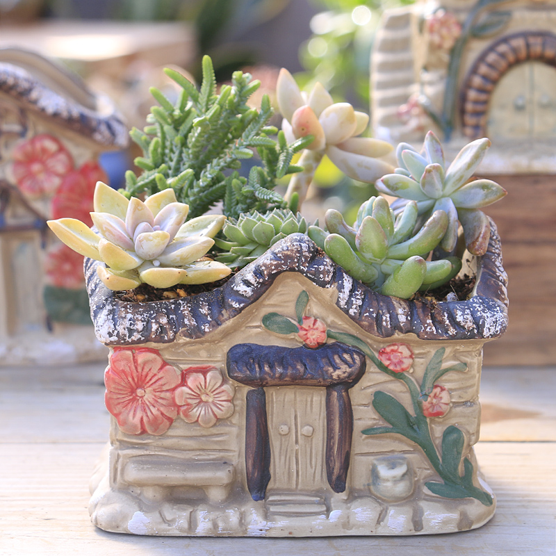 The Fleshy flowerpot ceramic special offer a clearance package mail breathable creative move house meat meat the plants flower pot in large diameter