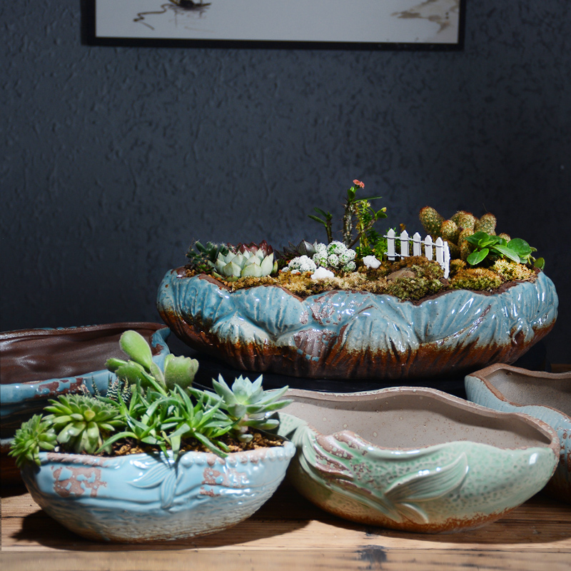 Creative fleshy flower POTS, large diameter platter is ceramic contracted big expressions using wide large extra large clearance potted the plants