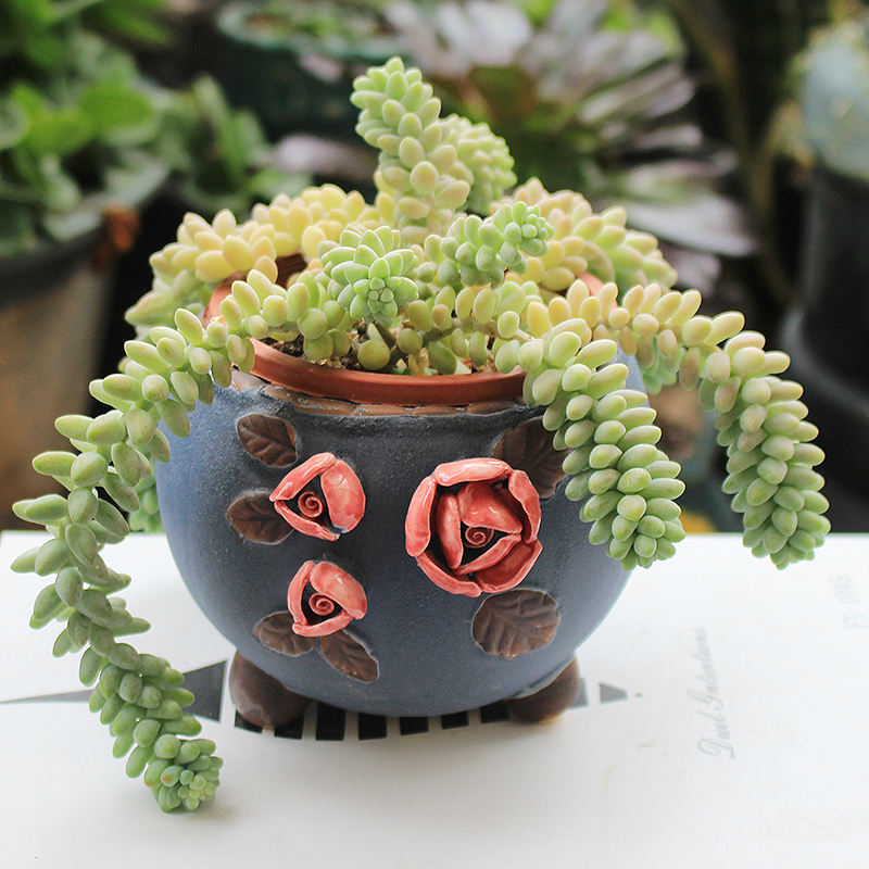 Fleshy ceramics through pockets pottery flowerpot special Chinese wind restoring ancient ways potted green plant pot, basket large clearance