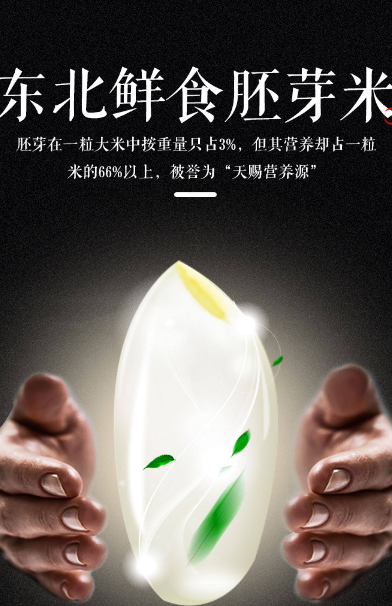 黑龙江大米胚芽米长粒香大米2.