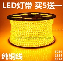 LED light with high pressure 220V soft light with 5730 pure copper lamp with colored white yellow green blue purple light 120 beads 10MM