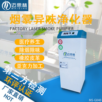 Laser cutting acrylic leather wood smoke remover smoke purifier light oxygen deodorizer environmental protection no consumables