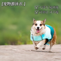 Dog swimsuit Pets Lifebuoy Clothes buoyancy Play in water Swimsuit Wave Swimsuit Kokie Chai Dog Big Small And Medium Dog
