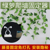 Green basket climbing wall fixing artifact non-slip invisible chlorophylla long Vine setting clip flower cover Wall tree leaf type upper clip