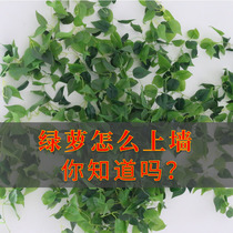 Green plant fixer stereotyped household wall-mounted buckle rose vine climbing clip unscented green wall adhesive hook artifact