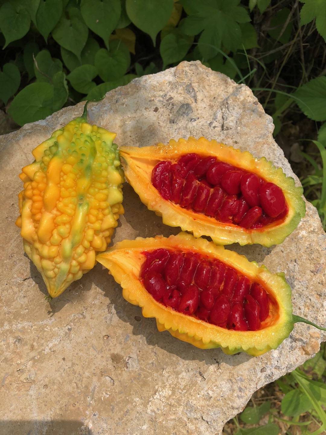 火参果2个新鲜包邮复联4灭霸同款水果当季非洲刺角瓜爆炸果火星果_采