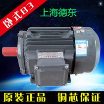 Shanghai Dedong Motor National Standard Iron Shell Y2-0 75-1 1KW copper core asynchronous motor high efficiency and energy saving two levels