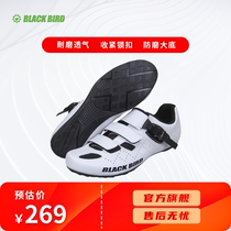 Blackbird training unlocked riding shoes