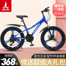 Phoenix childrens bicycle boy girl student mountain bike 21 variable speed bicycle big child double disc brake shock absorption