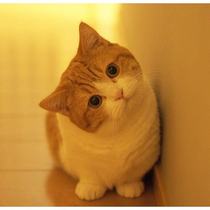 Sheets of paper 2020