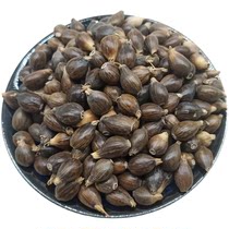 Disposable gloves 10