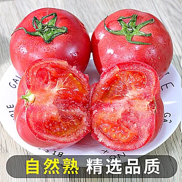 农家新鲜沙瓤西红柿5斤整箱[20元优惠券]-寻折猪