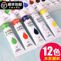 Picture drawing pass watercolor paint painting paint set beginner 12ml 12 color tube paste primary school students with children non-toxic washable kindergarten art students special painting color tools