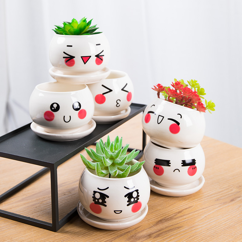 Creative move ceramic express cartoon of flowerpot primer mini combo kit expression more meat meat meat small potted the plants