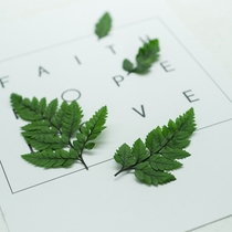 Photo props Photo props with retro leaves 4 immortalized leaves Photo forest photography props