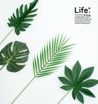 Photo props Simulation palm leaf turtle back leaf Star anise leaf Spring taro leaf INS tropical plant photo shooting ornaments