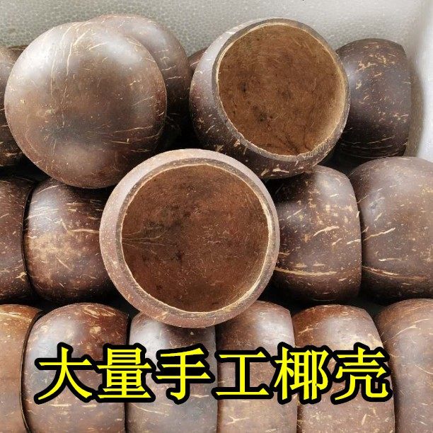 Natural Coconut Shell Old Coconut Shell Small Opening Smooth Coconut Shell Kindergarten DIY Multi Meat Growing Flower Pot Crafts-Taobao