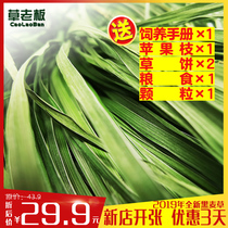 Black wheat straw 500g boxes loaded when season fresh little darling bunnies dried grass Dutch pig dragon cat food feed